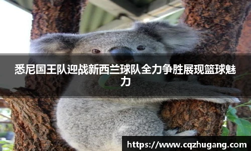 悉尼国王队迎战新西兰球队全力争胜展现篮球魅力